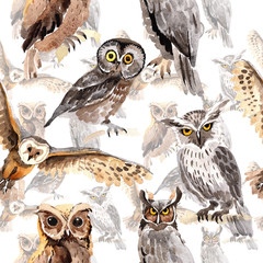 Sowa ptak niebo wzór w dzikiej przyrody stylu przypominającym akwarele.