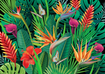 Tło z egzotycznych kwiatów tropikalnych
