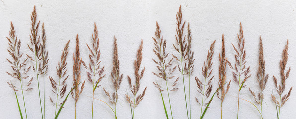 Kwiatowy wzór wykonany z polnych kwiatów