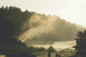 mgła o poranku nad lasem