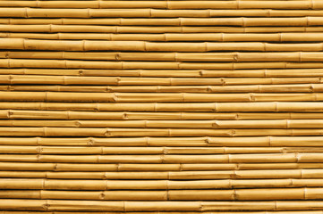 Żółty bambusowy płotowy tło i tekstura