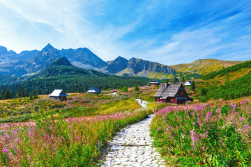 Gasienicowa Valley in Tatry mountains, Poland