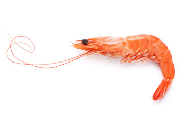 Gotowana garnela odizolowywająca na białym tle.