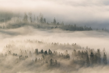 Słoneczny deszcz w mglistej dolinie