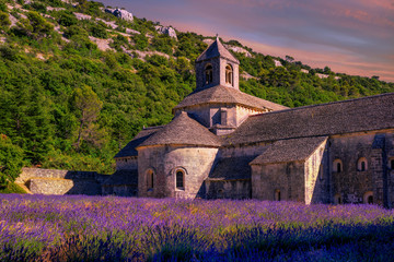Lawendowi pola w Senanque monasterze, Provence, Francja