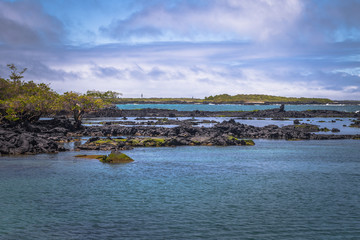 Galapagos Islands - August 25, 2017: Concha Perla Lagoon in Isabela Island, Galapagos Islands, Ecuador
