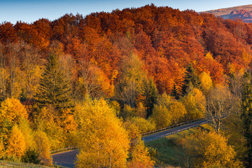 Sunrise in Bieszczady Carpathian Mountains in Poland at autumn