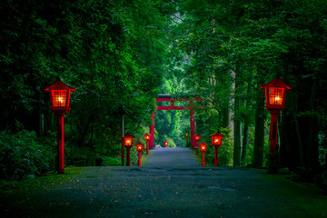 Nocny widok podejścia do świątyni Hakone w lesie cedrowym. Z wieloma czerwonymi latarniami i wielką czerwoną bramą torii