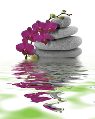 Czerwona orchidea na otoczaku i jego odbicie