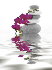 Czerwona orchidea na otoczakach i swój odbicie