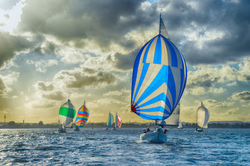 Żaglówka, spinaker, niebieski, niebo, dramat, żeglarstwo, słońce, zachód słońca, morze, woda