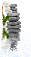 białe storczyki refleksje na kamyki