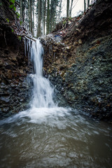 Forest waterfall