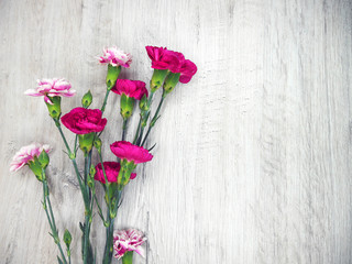 Flowers of carnations on a wooden light background