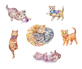 Zestaw kociąt akwarela. Śliczne zwierzaki.