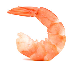 One cooked unshelled tiger shrimp isolated on white