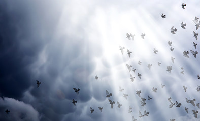 Deszczowe chmury na niebie i stado gołębi. Religijny con
