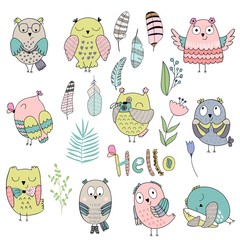  słodkie sowy, pióra i rośliny