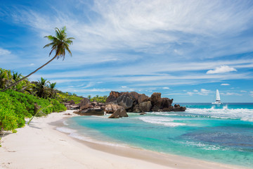 Piękna plaża nad oceanem z palmami