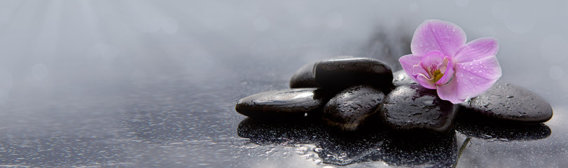 Pojedynczy kwiat orchidei i czarne kamienie.