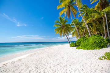pusta plaża marzeń na Dominikanie na Saonie