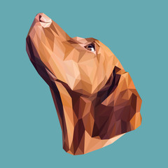 Wskaźnik low poly design. Trójkąt ilustracji wektorowych.