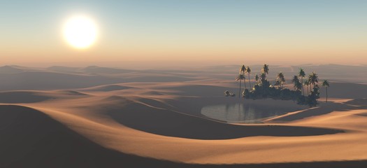 oaza o zachodzie słońca, dłonie nad wodą na pustyni