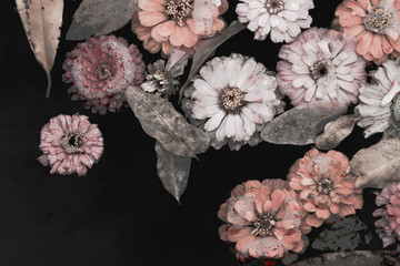 Kwiaty pływające w wodzie Panel Szklany do łazienki