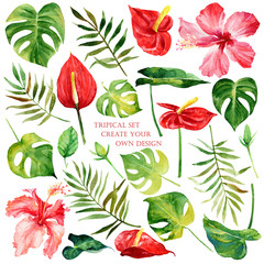 Kwiatowy zestaw z tropikalnymi kwiatami i liśćmi. Akwarele do stworzenia własnego projektu.