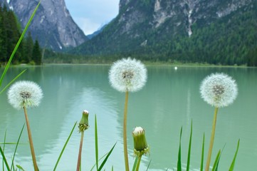 lake Braies