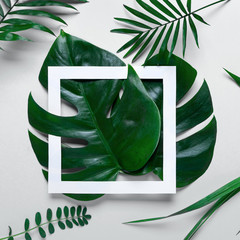 Rama tropikalnych liści Monstera i palmy na białym tle miejsca na tekst. Widok z góry, płaski układ