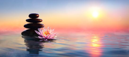 Zen Concept - Spa Stones I Waterlily W Jeziorze O Zachodzie Słońca