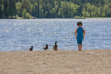 Boy meets ducks