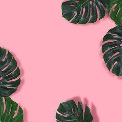 Naturalne różowe tło z ramą potwora pozostawia