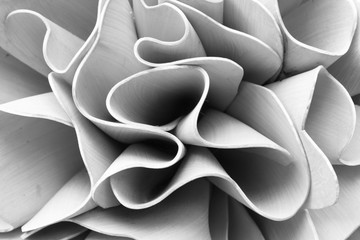 Abstrakcyjne linie z efektem 3D