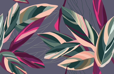 Kwiatowy wzór. Liście Cordelii na ciemnym szarym tle. Wzór botaniczny.