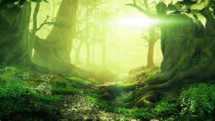 path through magical forest at sunrise, beautiful old trees fantasy landscape