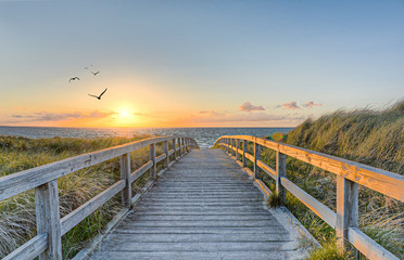 plaża zdjęcia