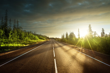 droga w północno-górskim lesie