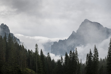 Tatry. Dolina Białej Wody