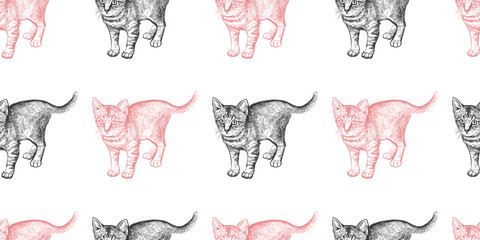 Wzór z ślicznym kotkiem.