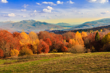 jesień w górach, Bieszczady