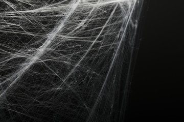 Halloween creepy pajęczyna pająki sieć z czarnym tłem