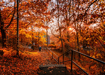 Stary człowiek wracający z Backa Kyrka przez jesienne drzewa