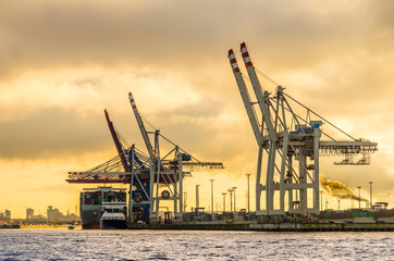 Hamburg terminal kontenerowy tollerort słońca