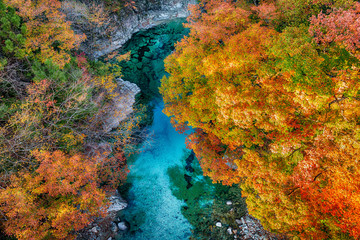 Jesienne liście i czysty strumień