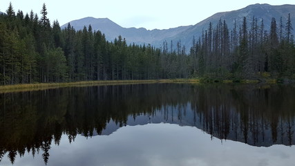 Smreczyński Staw, polodowcowe jezioro morenowe w polskich Tatrach Zachodnich, a za nim dziki las oraz wzniesienia Tatr; Smreczyński Wierch i Kamienista
