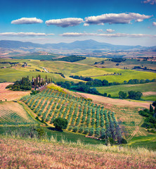 Zbiory pszenicy w Toskanii. Typowy toskański widok z domem i winnicą. Kolorowy letni widok włoskiej wsi, dolina Val d'Orcia, lokalizacja San Quirico d'Orcia.