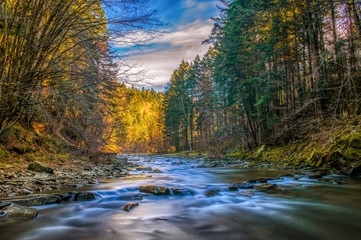 Bieszczady National Park 
