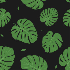 Ciemny Bezszwowy wzór z Monstera tropikalnej dżungli rośliny zieleni Dużymi Palmowymi liśćmi. Kwiatowy czarny druk w tle dla tekstyliów, tapet i opakowań.